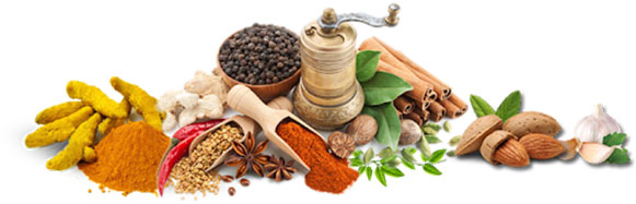 what is ayurveda section