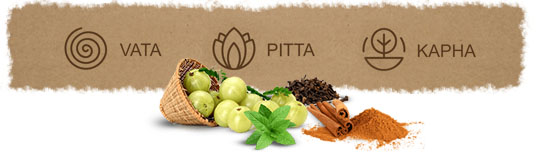 what is ayurveda section