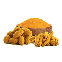 turmeric turmeric