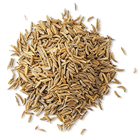 Cumin
